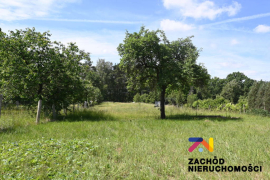 Działka budowlana w Podgórzycach